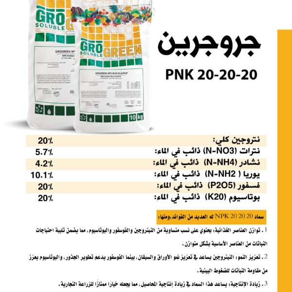 5 copy 600x600