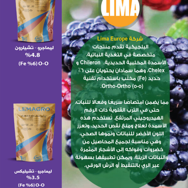 التعديلات الاخيرة 19 600x600