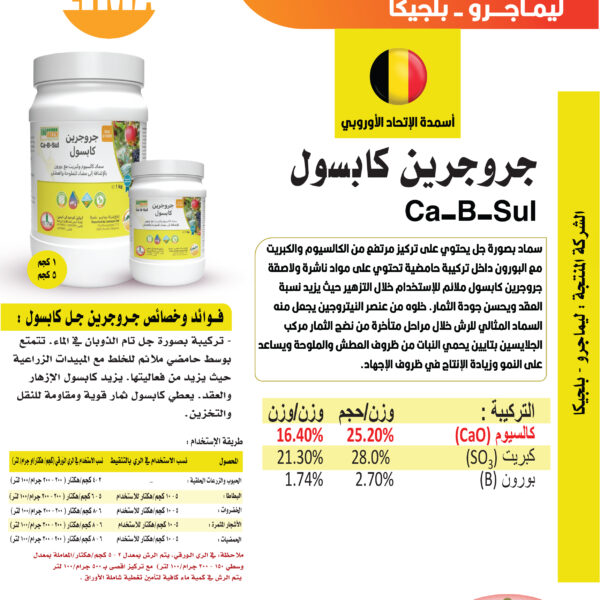 التعديلات الاخيرة 32 600x600